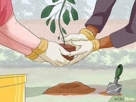 Grow your relationship...